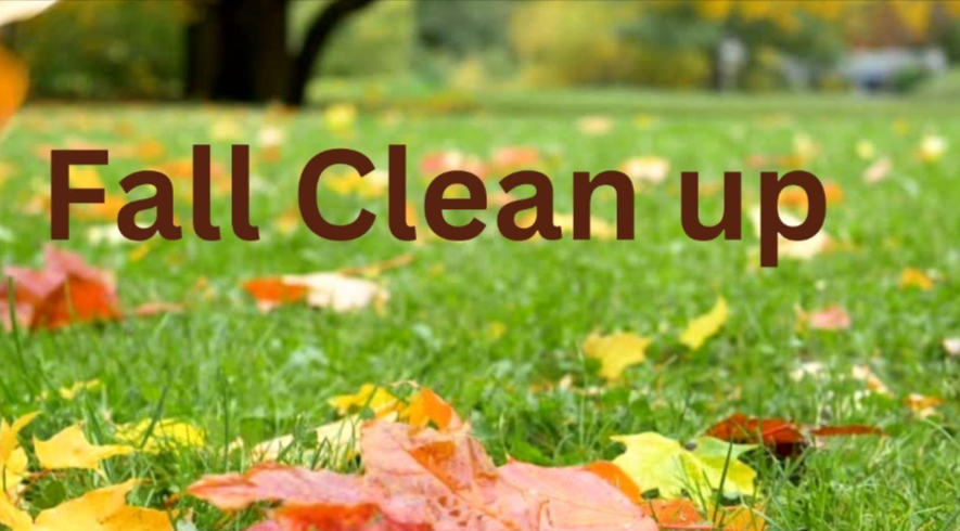 Tips For Avoiding Injury During Fall Cleanup, how physical therapy can help avoid injury