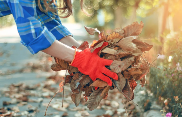 Tips For Avoiding Injury During Fall Cleanup, how physical therapy can help avoid injury