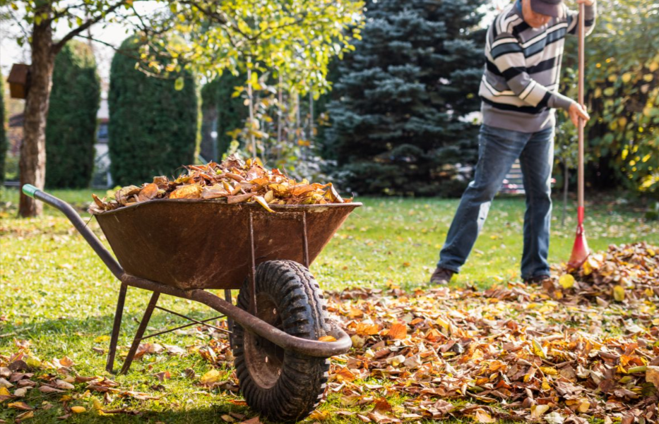 Tips For Avoiding Injury During Fall Cleanup, how physical therapy can help avoid injury
